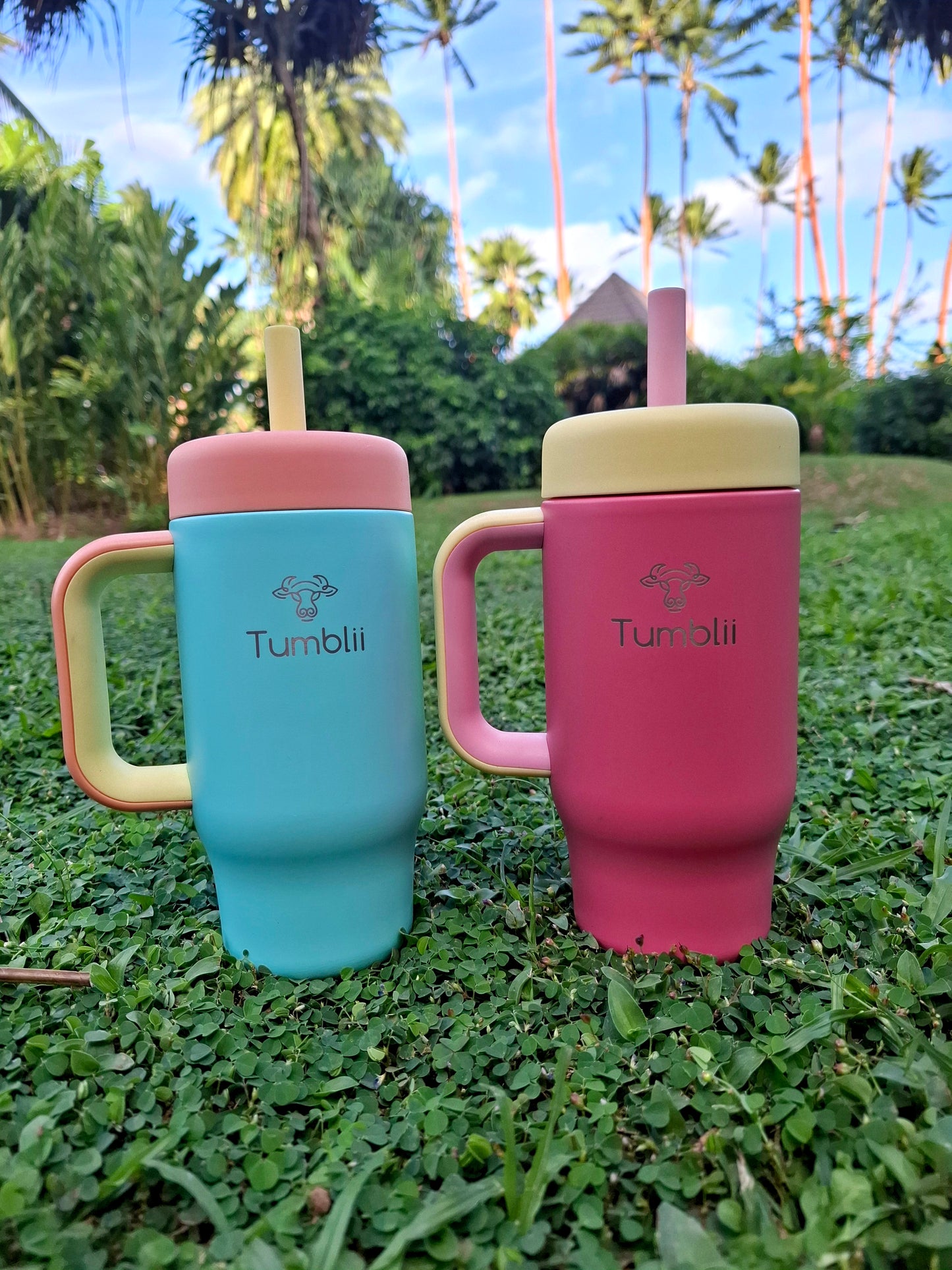 blue and pink stainless steel toddler tumblers on holiday